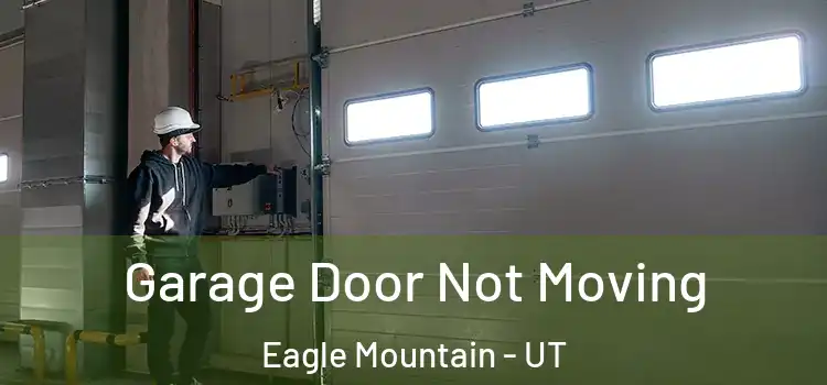  Garage Door Not Moving Eagle Mountain - UT