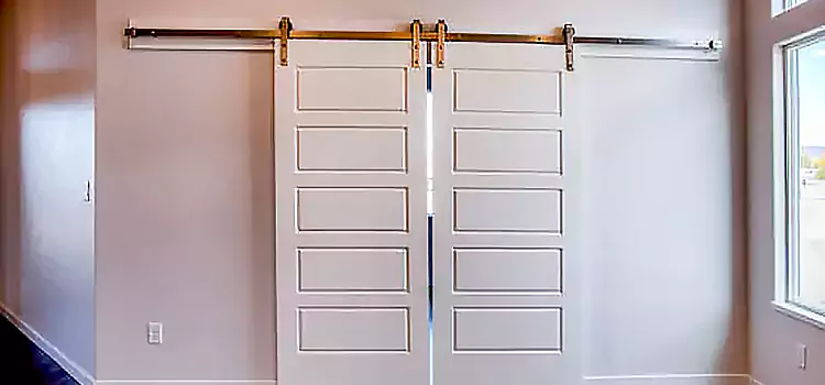 Glass Barn Door with Installation Hardware Kit Eagle Mountain