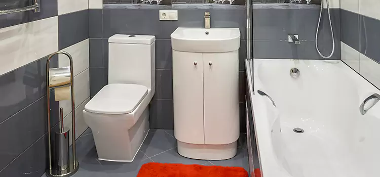 Hansgrohe Shaving Mirror Eagle Mountain